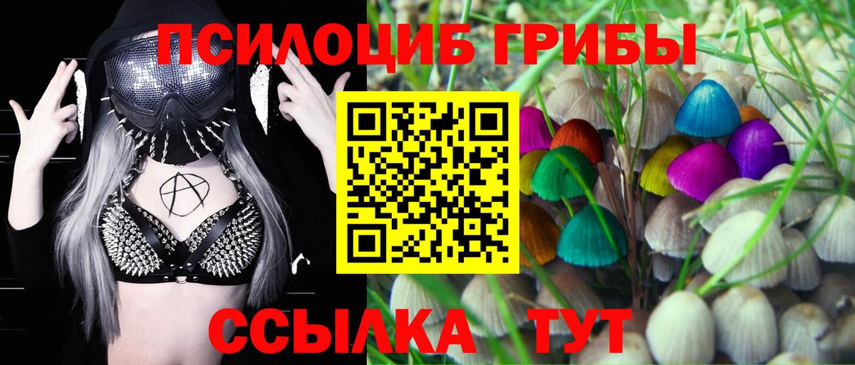 Псилоцибиновые грибы Psilocybine cubensis Буйнакск