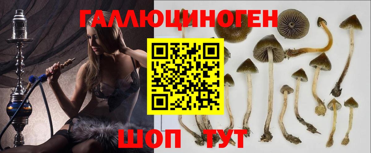 Псилоцибиновые грибы GOLDEN TEACHER  Галлюциногенные грибы мухоморы  Вход с VPN  Буйнакск 